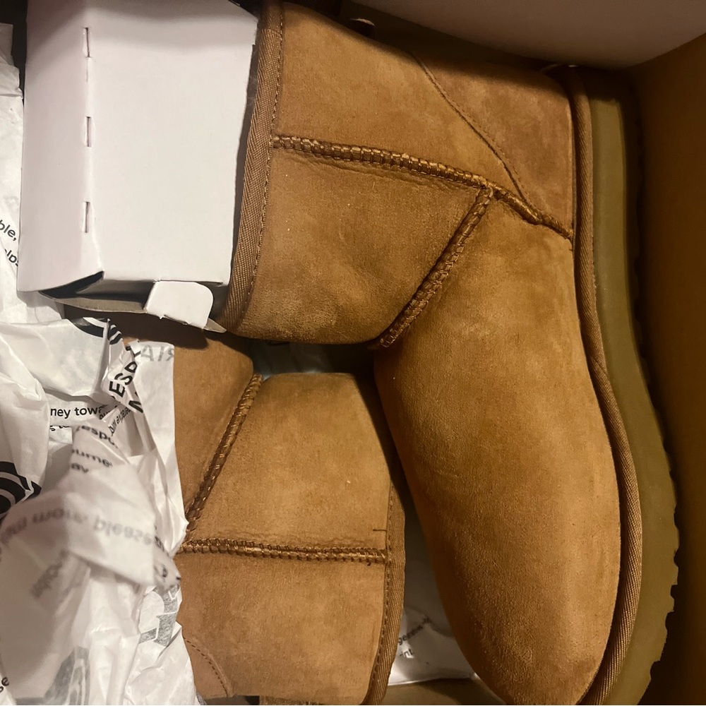 UGG women Chestnut Suede Boots